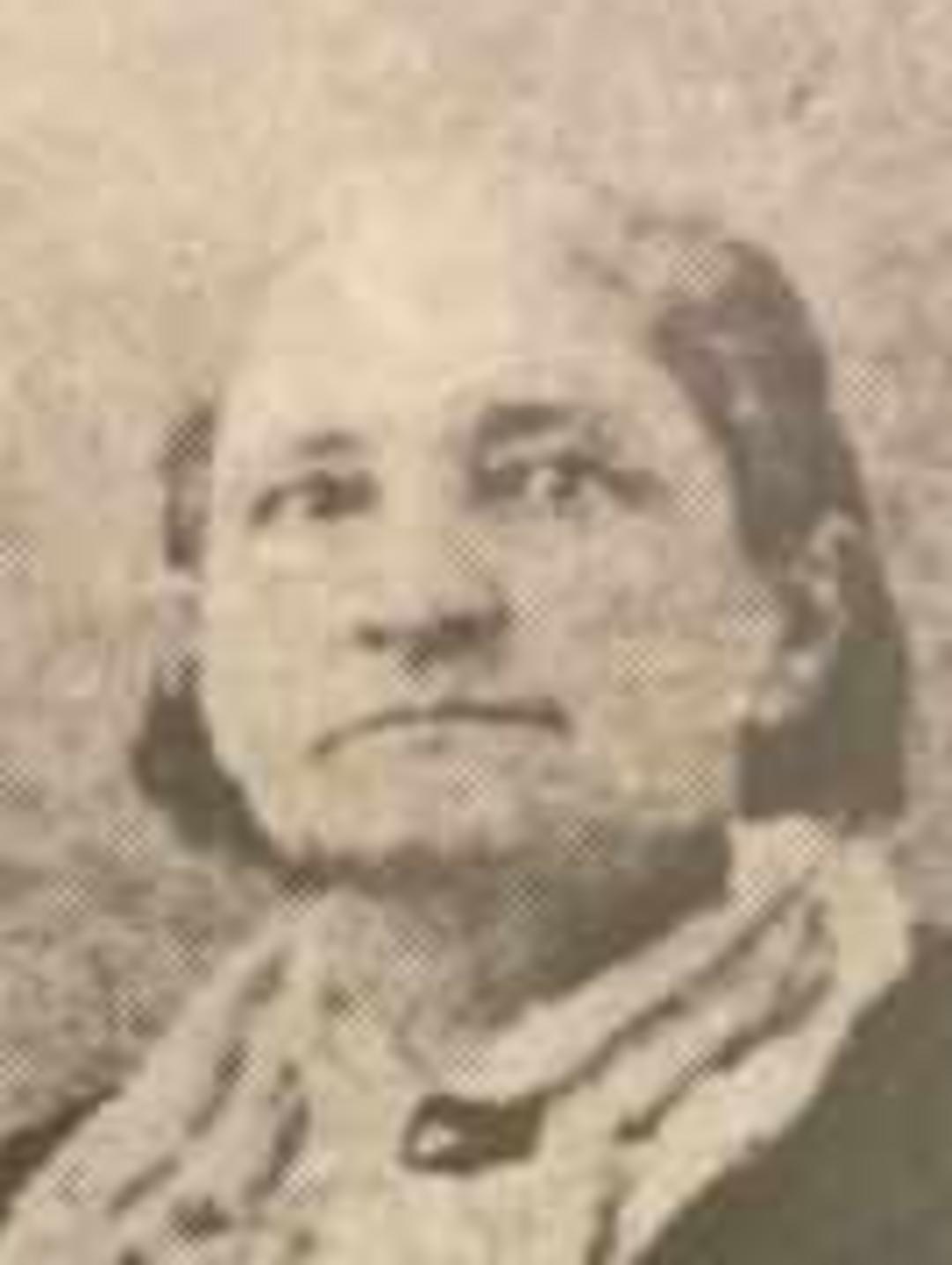 Isabella Wells (1823 - 1896) Profile